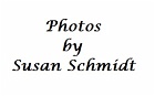 IMB_0001